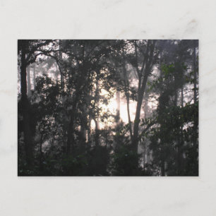 Após a tempestade - Cartão postal nº 2