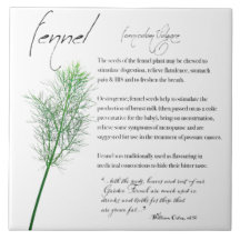 Apothecary Herbal: Fennel | Azulejo cerâmico