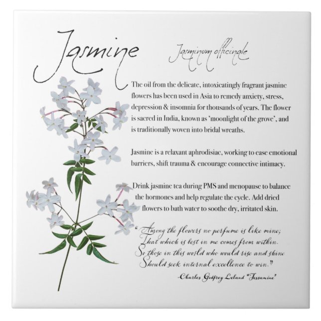 Apothecary Herbal: Jasmine | Azulejo de cerâmica d (Frente)