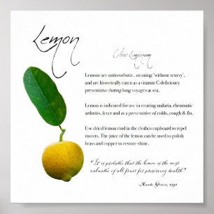 Apothecary Herbal: Lemon Poster de papel de valo