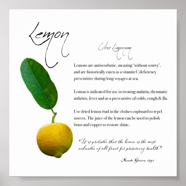 Apothecary Herbal: Lemon | Poster de papel de valo (Frente)