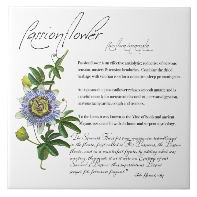Apothecary Herbal: Passionflower | Azulejo cerâmic (Frente)