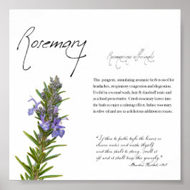 Apothecary Herbal: Rosemary | Poster botânico