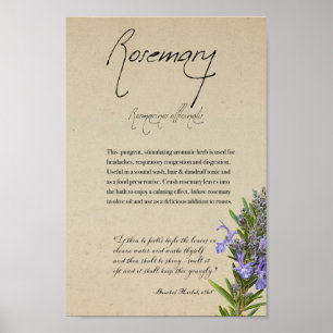 Apothecary Herbal: Rosemary Poster de altura