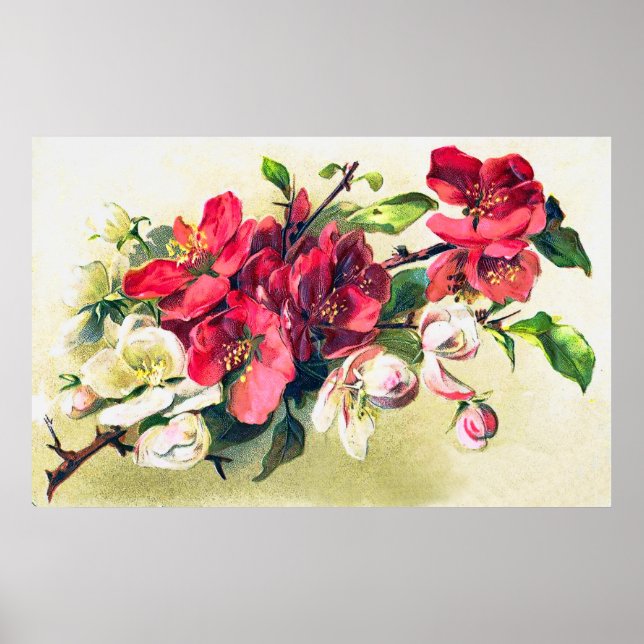 Apple Blossoms Poster (Frente)