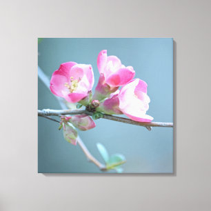 Apple floresce as canvas #P0358