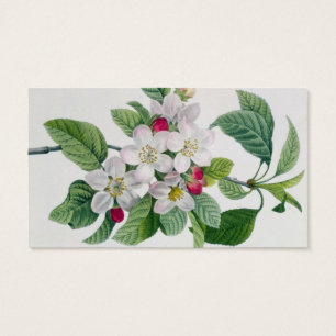 Apple floresce, 'do DES de Les Choix mais Belles
