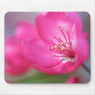 Apple floresce Mousepad