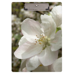 Apple floresce prancheta