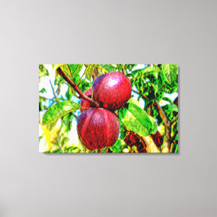 Apple of My Eye Drake Trabalho de arte na Canvas