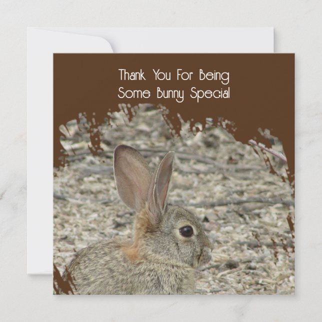 Apreciação Funny Tan Bunny Pun (Frente)