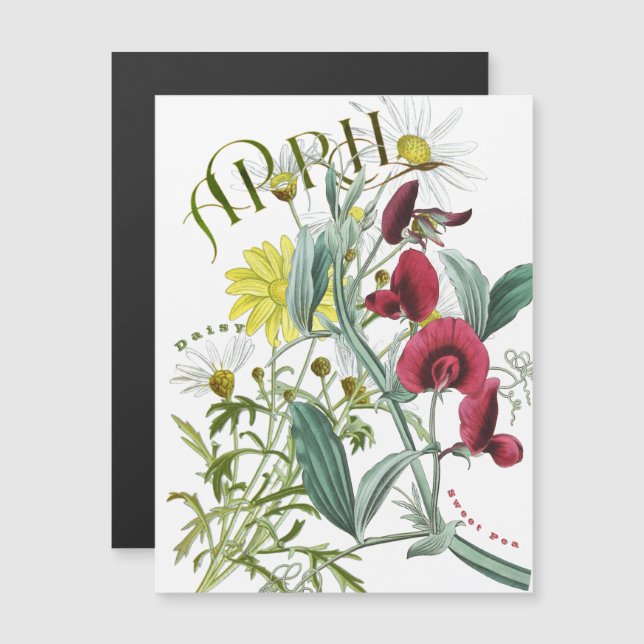 April Month Flowers Sweet Pea Daisy Fancy (Frente/Verso)