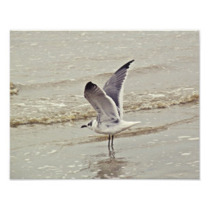 Apronte para a foto do vôo