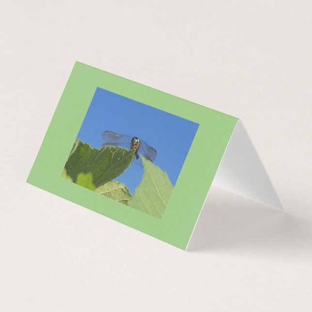 Aproximação de uma libélula contra um céu azul bri (Frente)