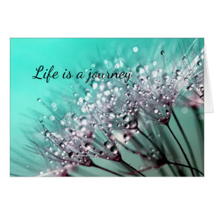 Aqua Cactus Bonsai Bloom Qualquer Cartão De Ocasiã