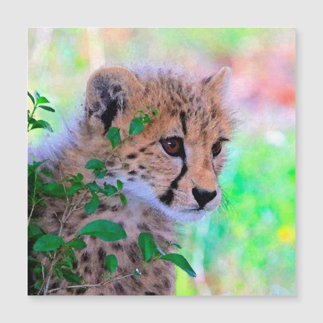 Aqua_Cheetah_20180102 (Frente)