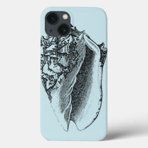 Aqua Conch Shell