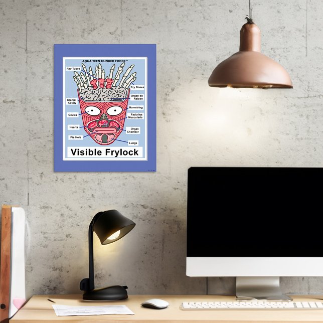 Aqua Teen Fome Force Visible Frylock Poster (Poster on wall)
