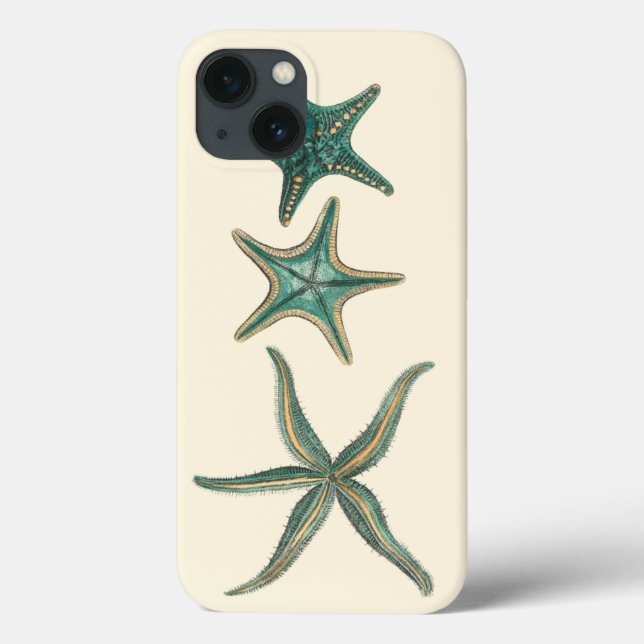 Aquamarine Triple Starfish (Verso)