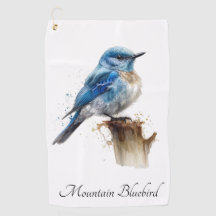 Aquarela de passarinho azul montanhês fofo, person