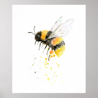 Aquarela Impressão
