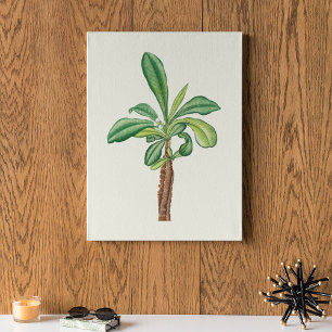 Aquarela Impressão de Cacto Botânico Antiquado Pos