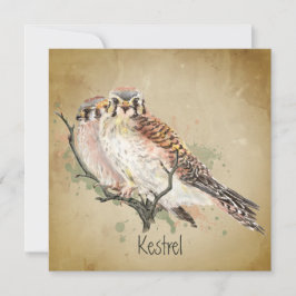 Aquarela Kestrel Falcon Willife Bird Art