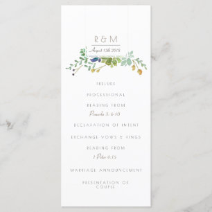 Aquarela Suculente Inicial Programa