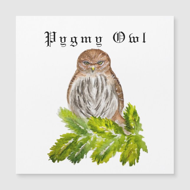 Aquarela Viram Pequenas Corujas Brancas (Frente)