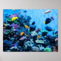 Aquário Poster