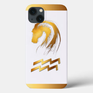 Aquarius Horse Chinese Western Astrology iPhone C