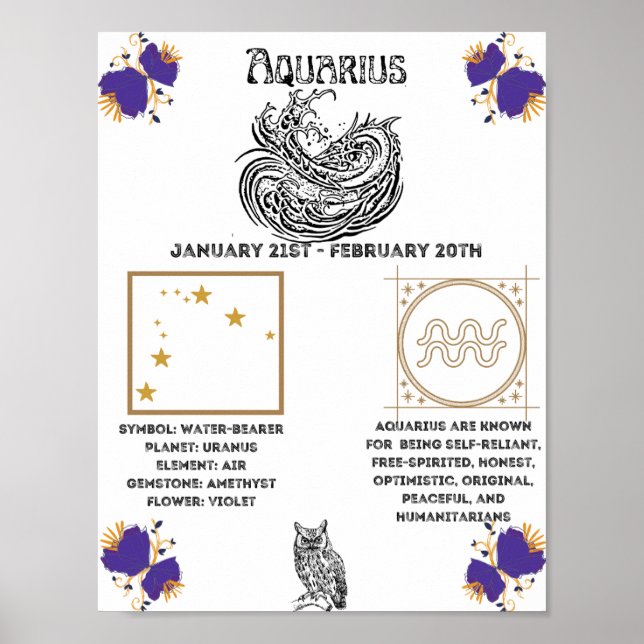 Aquarius Zodiac Poster (Frente)