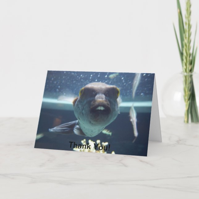 Aquele Cartão De Peixe De Bucktooth (Frente)