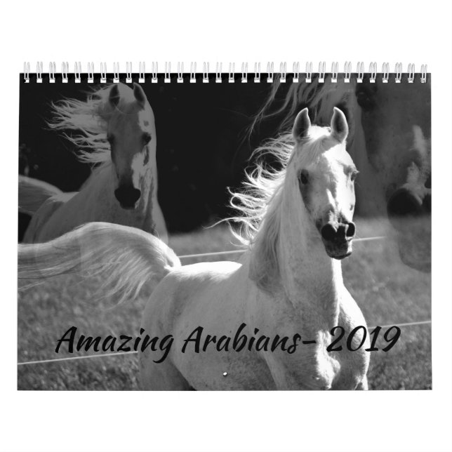 Arabians surpreendentes um calendário 2019 (Capa)