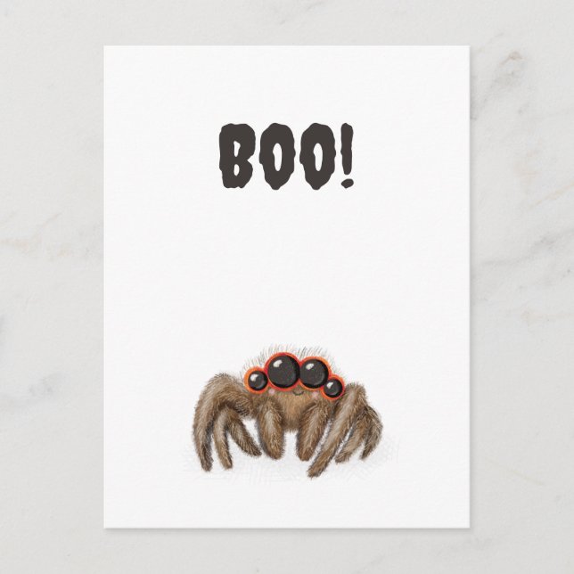 Aranha assustadora 'Boo!' Cartão postal Halloween (Frente)