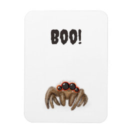 Aranha assustadora 'Boo!' Íman de Halloween