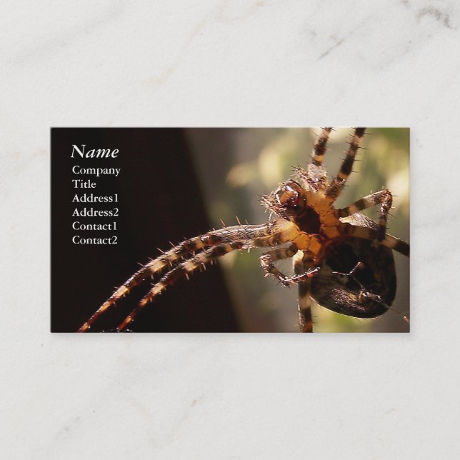 Aranha - cartões de visitas (Frente)