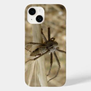 Aranha Crawly
