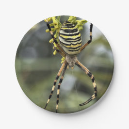 Aranha de Halloween em Prato de Papel