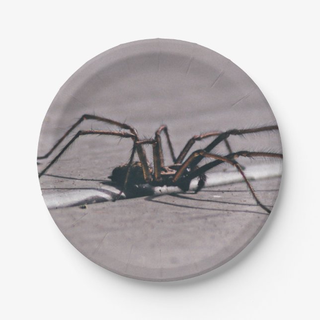 Aranha de Halloween em Prato de Papel (Frente)
