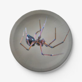 Aranha de Halloween em Prato de Papel