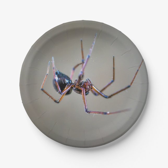 Aranha de Halloween em Prato de Papel (Frente)