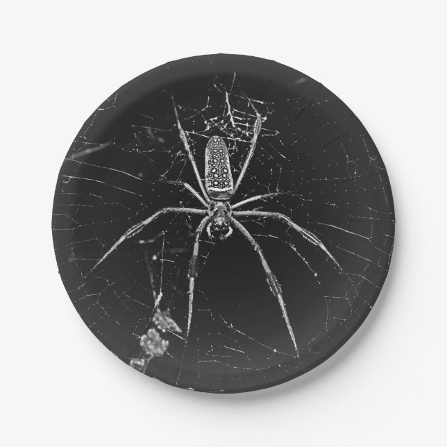 Aranha de Halloween em Prato de Papel (Frente)
