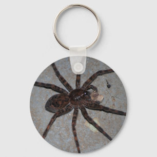 aranha de lobo com chaveiro do petisco