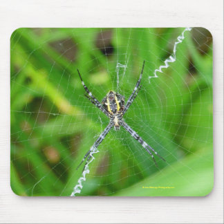 Aranha do bastão - mousepad grande da ilha