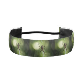 Aranha-do-jardim amarela