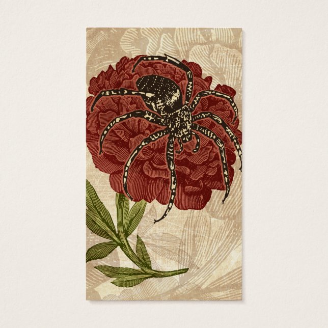 Aranha Na Flor (Verso)