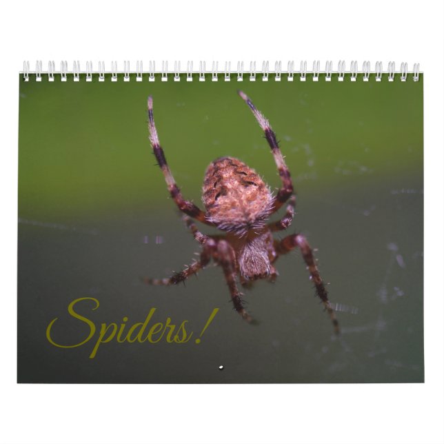 Aranhas! Calendário (Capa)