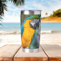 Arara-azul-e-amarela