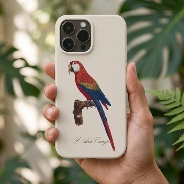 Arara-vermelha, Ara macao (Scarlet Macaw or Red-Breasted Macaw, Ara macao. iPhone Case)